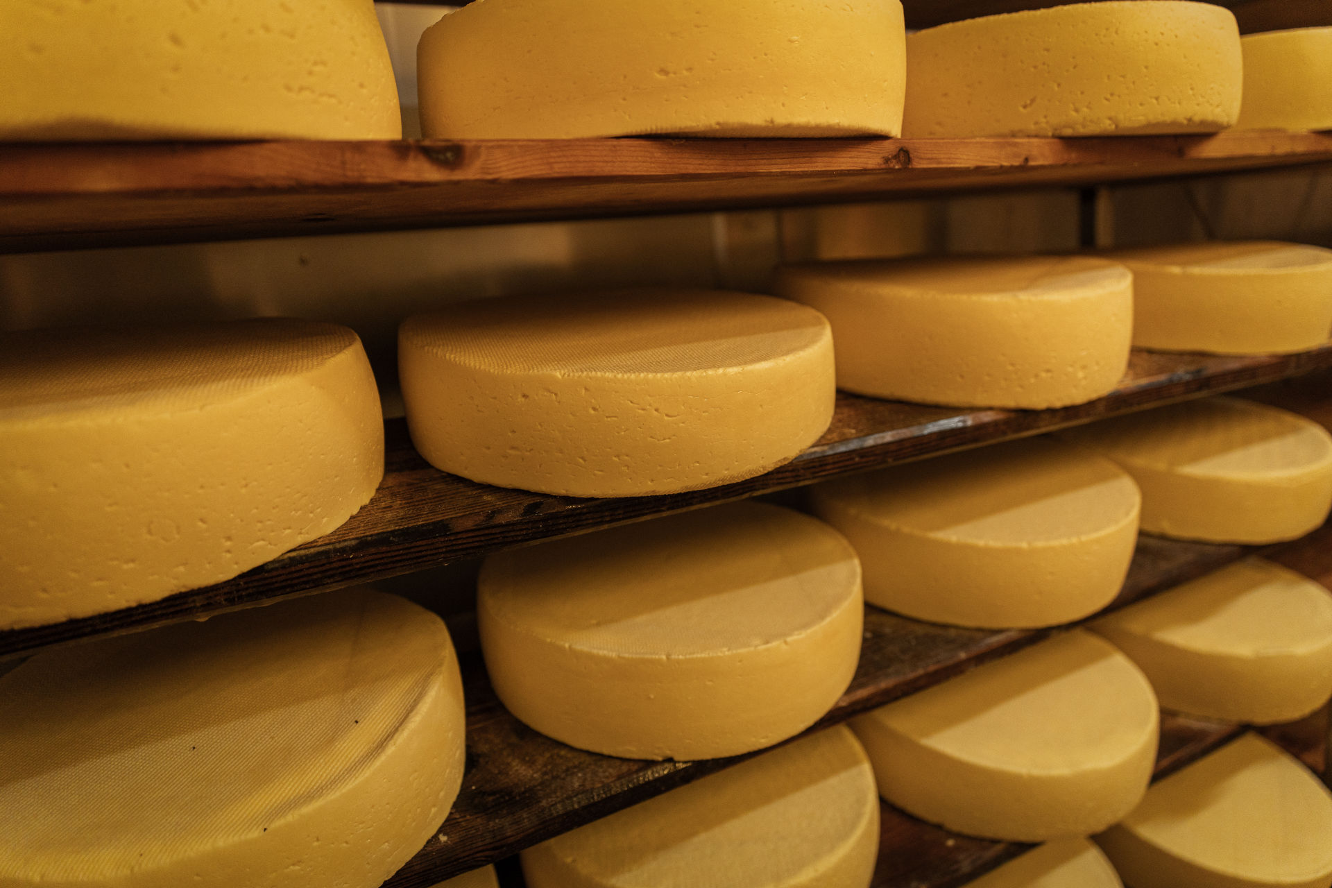 Käse in einem Regal